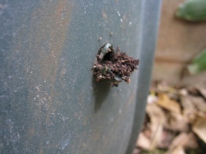 Time for a new compost bin